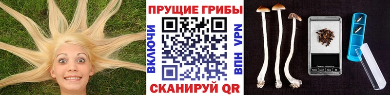 Псилоцибиновые грибы Psilocybine cubensis mega ONION Бердск