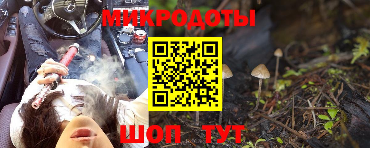 Бердск  продажа наркотиков  Вход с VPN  Псилоцибиновые грибы мицелий 