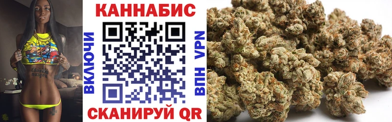 дарнет шоп  Бердск  Марихуана конопля 