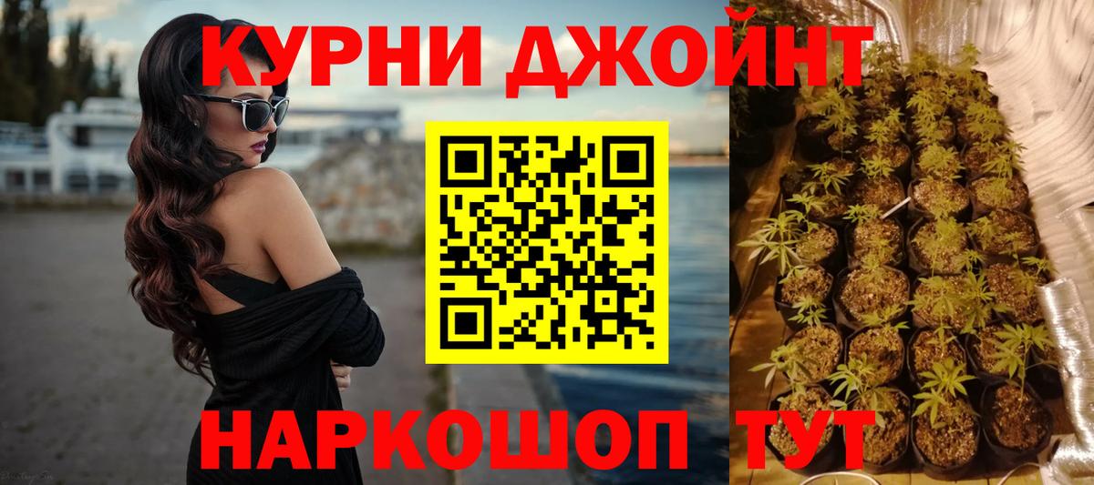 Канабис план Бердск