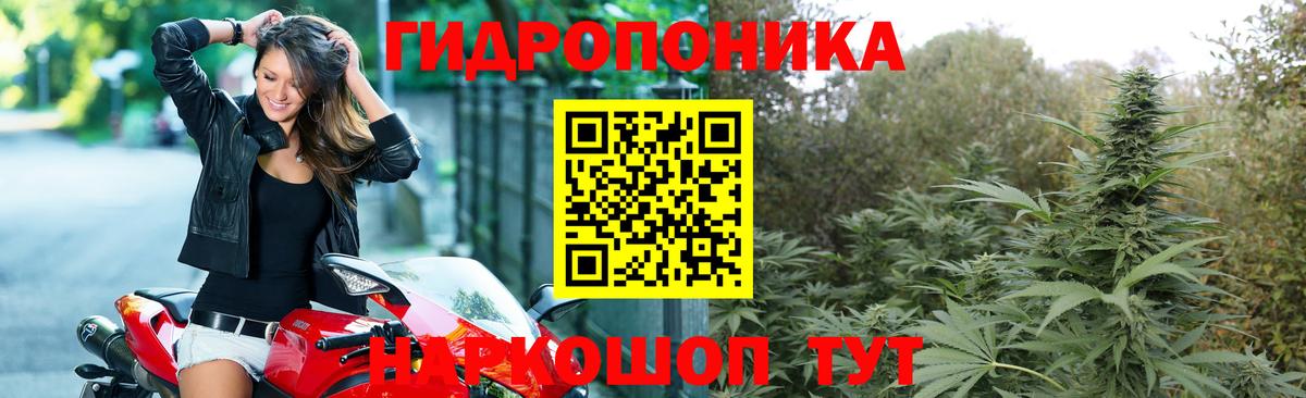 Канабис LSD WEED  Бошки Шишки сатива  Шишки марихуана AK-47  Бердск  Вход с VPN 